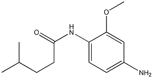 N-(4-amino-2-methoxyphenyl)-4-methylpentanamide Structure