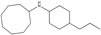 N-(4-propylcyclohexyl)cyclooctanamine Structure