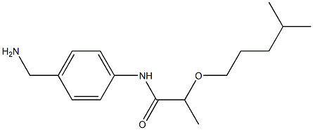 N-[4-(aminomethyl)phenyl]-2-[(4-methylpentyl)oxy]propanamide|