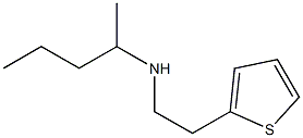 pentan-2-yl[2-(thiophen-2-yl)ethyl]amine