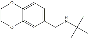 tert-butyl(2,3-dihydro-1,4-benzodioxin-6-ylmethyl)amine 结构式