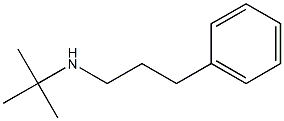 tert-butyl(3-phenylpropyl)amine 结构式