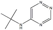 5-(tert-Butylamino)-1,2,4-triazine Structure