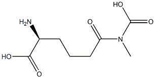 [S,(+)]-2-Amino-5-(carboxymethylcarbamoyl)valeric acid Struktur
