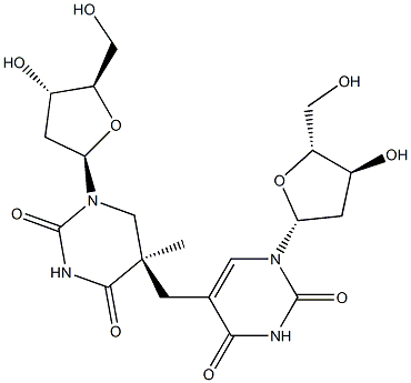 (5R)-5-(2'-Deoxyuridine-5-ylmethyl)-5,6-dihydrothymidine Structure