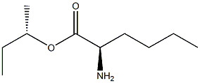 (S)-2-Aminohexanoic acid (R)-1-methylpropyl ester Struktur