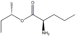 (S)-2-Aminopentanoic acid (R)-1-methylpropyl ester Struktur