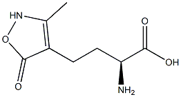 (S)-2-Amino-4-[(2,5-dihydro-3-methyl-5-oxoisoxazol)-4-yl]butyric acid Structure