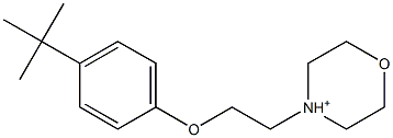 4-[2-[4-(tert-ブチル)フェノキシ]エチル]モルホリン-4-カチオン 化学構造式