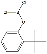 (2-tert-Butylphenoxy)dichloroborane Structure