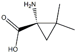 (1S)-1-アミノ-2,2-ジメチルシクロプロパン-1-カルボン酸 化学構造式