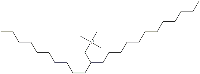 2-Decyltetradecyltrimethylaminium