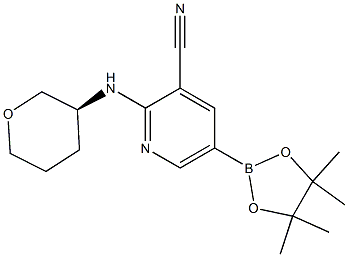 2-((S)-tetrahydro-2H-pyran-3-ylamino)-5-(4,4,5,5-tetramethyl-1,3,2-dioxaborolan-2-yl)pyridine-3-carbonitrile