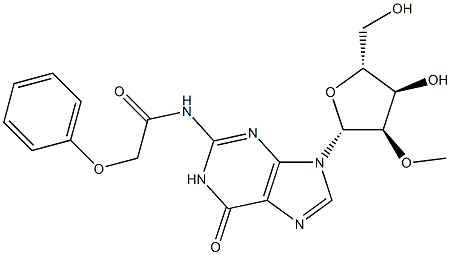 N2-Phenoxyacetyl-2'-O-methylguanosine