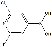 2-chloro-6-fluoropyridin-4-ylboronic acid