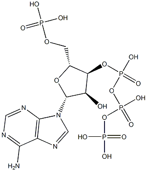 phospho-ABCA1 (Ser2054)