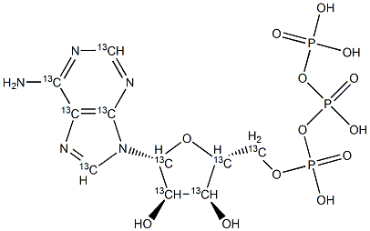 Adenosine 5'-Triphosphate-13C10