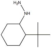 (2-tert-butylcyclohexyl)hydrazine