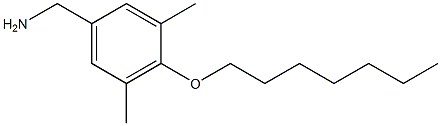 [4-(heptyloxy)-3,5-dimethylphenyl]methanamine 结构式