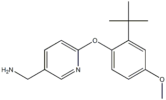 [6-(2-tert-butyl-4-methoxyphenoxy)pyridin-3-yl]methylamine Structure
