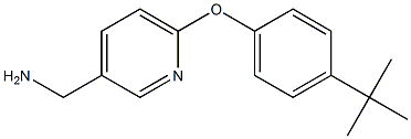 [6-(4-tert-butylphenoxy)pyridin-3-yl]methylamine 结构式