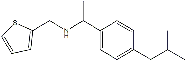 {1-[4-(2-methylpropyl)phenyl]ethyl}(thiophen-2-ylmethyl)amine