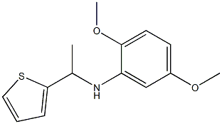 2,5-dimethoxy-N-[1-(thiophen-2-yl)ethyl]aniline