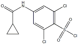 2,6-dichloro-4-[(cyclopropylcarbonyl)amino]benzenesulfonyl chloride Struktur