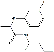 2-[(3-iodophenyl)amino]-N-(pentan-2-yl)propanamide Structure