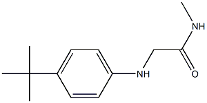 2-[(4-tert-butylphenyl)amino]-N-methylacetamide Structure