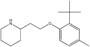 2-[2-(2-tert-butyl-4-methylphenoxy)ethyl]piperidine