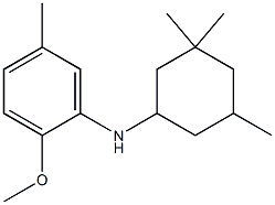 2-methoxy-5-methyl-N-(3,3,5-trimethylcyclohexyl)aniline Structure