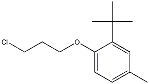 2-tert-butyl-1-(3-chloropropoxy)-4-methylbenzene Struktur