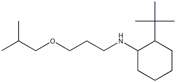 2-tert-butyl-N-[3-(2-methylpropoxy)propyl]cyclohexan-1-amine Structure
