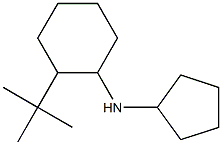 2-tert-butyl-N-cyclopentylcyclohexan-1-amine Structure