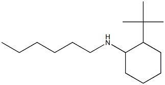 2-tert-butyl-N-hexylcyclohexan-1-amine 结构式