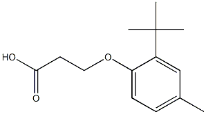 3-(2-tert-butyl-4-methylphenoxy)propanoic acid Structure