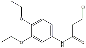 3-chloro-N-(3,4-diethoxyphenyl)propanamide 结构式