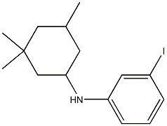 3-iodo-N-(3,3,5-trimethylcyclohexyl)aniline 结构式