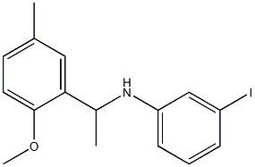 3-iodo-N-[1-(2-methoxy-5-methylphenyl)ethyl]aniline 结构式