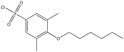 4-(hexyloxy)-3,5-dimethylbenzene-1-sulfonyl chloride Structure