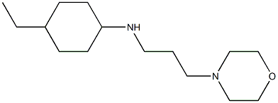 4-ethyl-N-[3-(morpholin-4-yl)propyl]cyclohexan-1-amine,,结构式