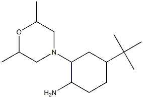 4-tert-Butyl-2-(2,6-dimethyl-morpholin-4-yl)-cyclohexylamine Structure