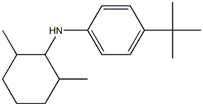 4-tert-butyl-N-(2,6-dimethylcyclohexyl)aniline