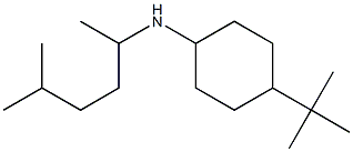 4-tert-butyl-N-(5-methylhexan-2-yl)cyclohexan-1-amine Structure