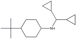  4-tert-butyl-N-(dicyclopropylmethyl)cyclohexan-1-amine