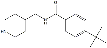 4-tert-butyl-N-(piperidin-4-ylmethyl)benzamide|