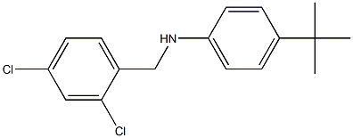 4-tert-butyl-N-[(2,4-dichlorophenyl)methyl]aniline