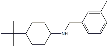 4-tert-butyl-N-[(3-methylphenyl)methyl]cyclohexan-1-amine Struktur