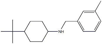 4-tert-butyl-N-[(3-methylphenyl)methyl]cyclohexan-1-amine